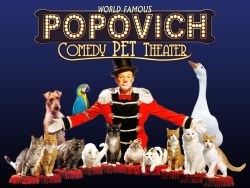 Gregory Popovich’s Comedy Pet Theater