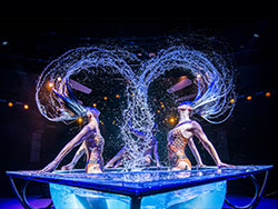 WOW – The Vegas Spectacular